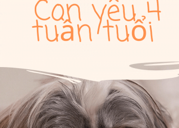 Thai nhi 4 tuần tuổi, lúc này như thế nào?