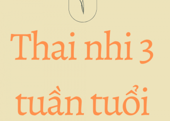 Thai nhi 3 tuần tuổi- Những thai đổi của người mẹ