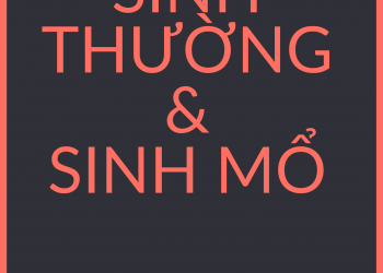 Những điều nhất định mẹ bầu phải biết về sinh thường và sinh mổ