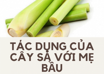 Tác dụng của cây sả đối với mẹ bầu