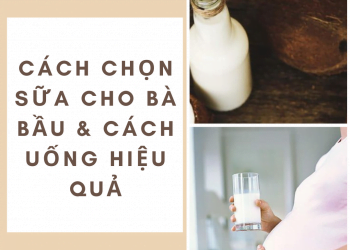 Chọn sữa bầu như thế nào cho tốt