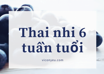 Thai nhi 6 tuần tuổi