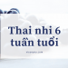 Thai nhi 6 tuần tuổi