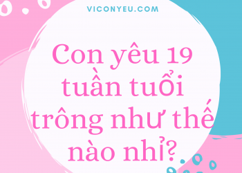 Con yêu 19 tuần tuổi giờ trông như thế nào, Mẹ đã biết chưa?