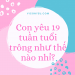 Con yêu 19 tuần tuổi giờ trông như thế nào, Mẹ đã biết chưa?