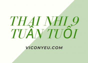 Sự phát triển của thai nhi 9 tuần tuổi