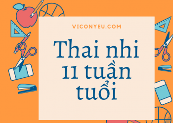 Thai nhi 11 tuần tuổi