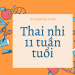 Thai nhi 11 tuần tuổi