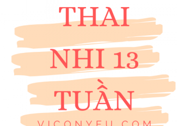 Sự phát triển của thai nhi 13 tuần