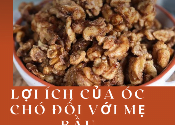 Lợi ích của hạt óc chó đối với mẹ bầu
