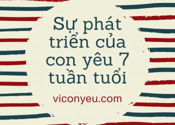 Sự phát triển của thai nhi 7 tuần tuổi