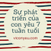 Sự phát triển của thai nhi 7 tuần tuổi