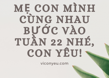 Chúng ta đã đi qua 22 tuần thai cùng nhau đó, con yêu à!
