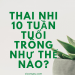 Thai nhi 10 tuần tuổi trông như thế nào?