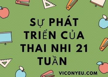 Sự phát triển của con yêu 21 tuần tuổi