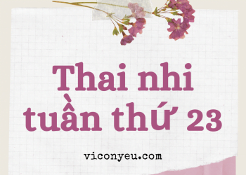 Sự phát triển của thai nhi 23 tuần tuổi