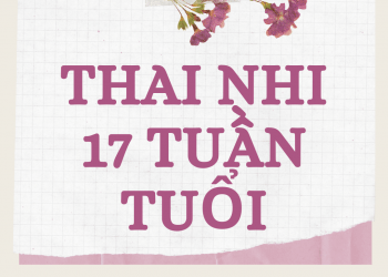 Sự phát triển của con yêu 17 tuần tuổi