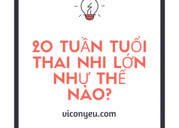 20 Tuần tuổi, con yêu lớn như thế nào?
