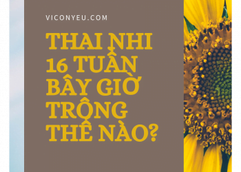 Thai nhi 16 tuần bây giờ như thế nào?
