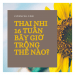 Thai nhi 16 tuần bây giờ như thế nào?