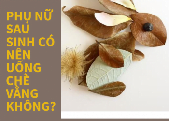 Phụ nữ sau sinh có nên uống chè vằng hay không?
