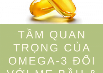 Tầm quan trọng của Omega-3 với bà bầu và thai nhi