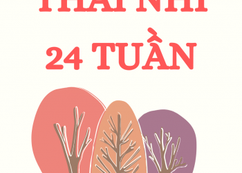 Sự phát triển của thai nhi 24 tuần tuổi