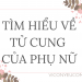 Tử cung và những bệnh thường gặp