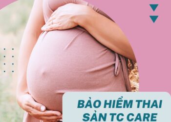 Bảo hiểm thai sản TC Group – mới nhất 2021